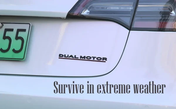 3D Raised DUAL MOTOR Underlined Letters Emblem for Tesla Model 3 Y X S Car Styling High Performance Trunk Badge Sticker